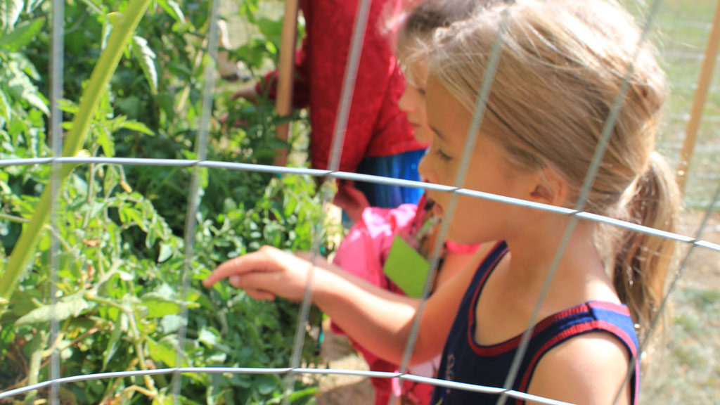 Children and Youth At FPCF - Learning about the garden and compassion 